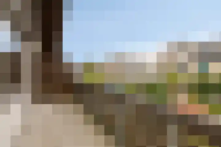 Nijlstraat 4 Spijkenisse thumbnail 32