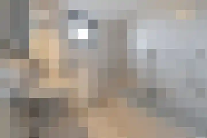 Nijlstraat 4 Spijkenisse thumbnail 33