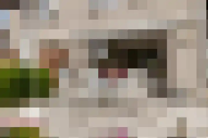 Nijlstraat 4 Spijkenisse thumbnail 45