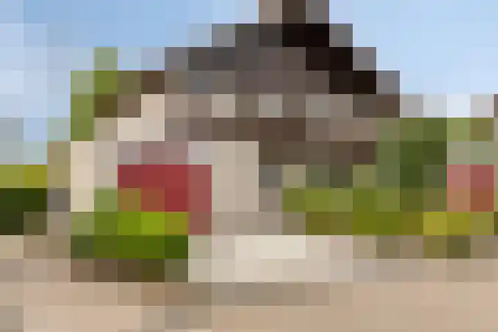 Nijlstraat 4 Spijkenisse thumbnail 46