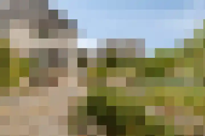 Nijlstraat 4 Spijkenisse thumbnail 49