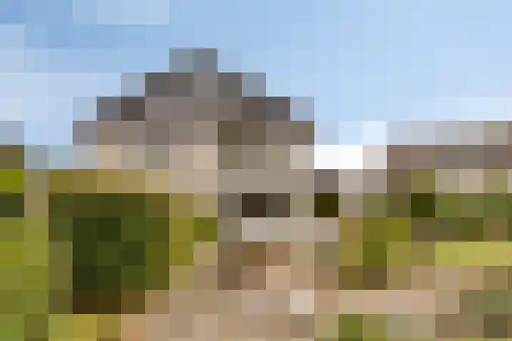 Nijlstraat 4 Spijkenisse thumbnail 50