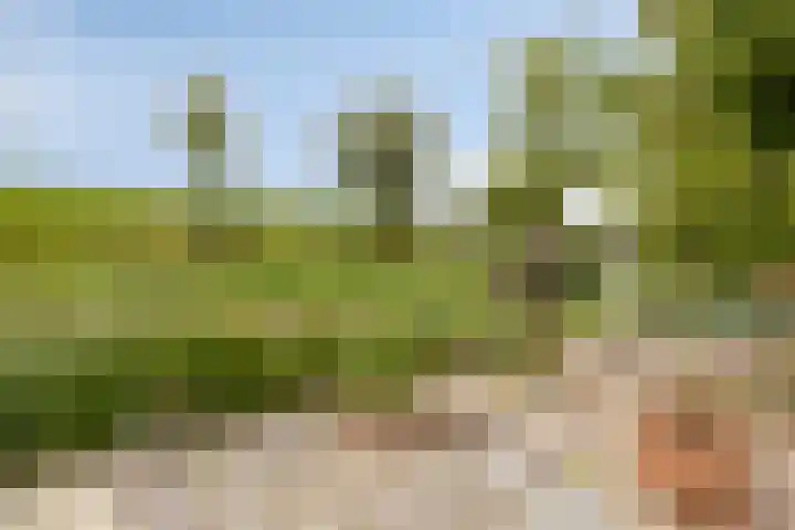 Nijlstraat 4 Spijkenisse thumbnail 51