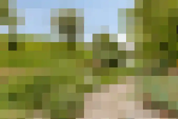 Nijlstraat 4 Spijkenisse thumbnail 52