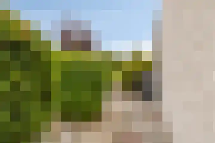 Nijlstraat 4 Spijkenisse thumbnail 53