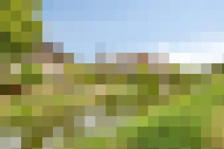 Nijlstraat 4 Spijkenisse thumbnail 54