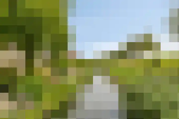 Nijlstraat 4 Spijkenisse thumbnail 55