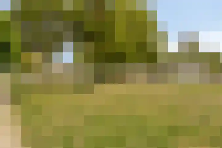Nijlstraat 4 Spijkenisse thumbnail 57