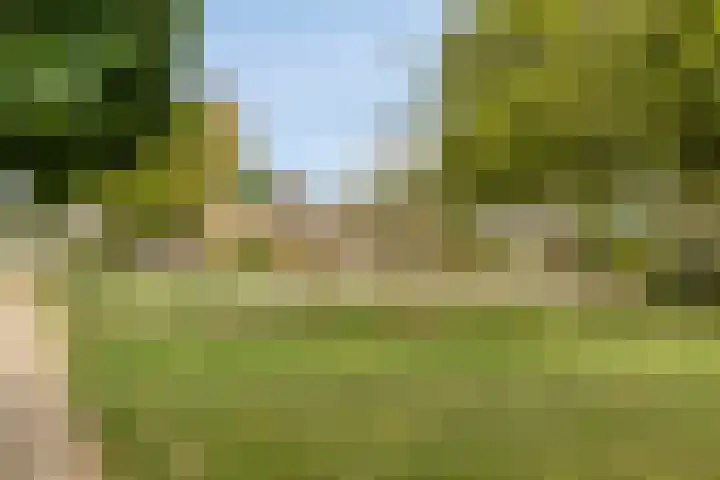 Nijlstraat 4 Spijkenisse thumbnail 58