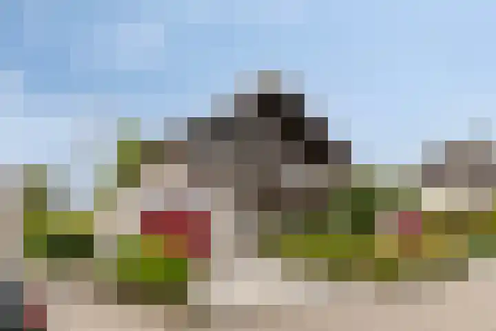 Nijlstraat 4 Spijkenisse thumbnail 63