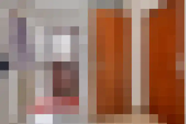 Nijlstraat 4 Spijkenisse thumbnail 9