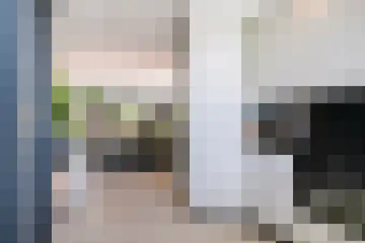 Nijlstraat 46 Spijkenisse thumbnail 13