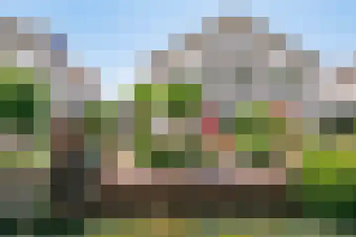 Nijlstraat 46 Spijkenisse thumbnail 17