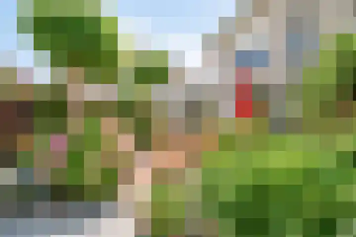 Nijlstraat 46 Spijkenisse thumbnail 19