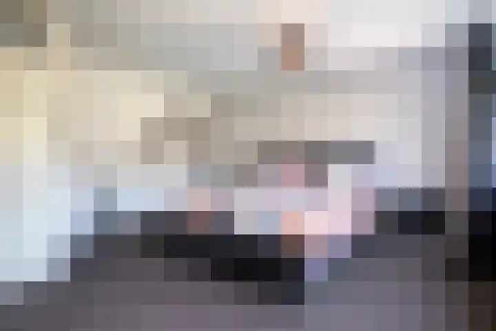 Nijlstraat 46 Spijkenisse thumbnail 22