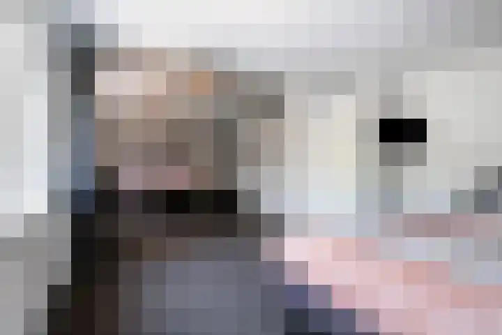 Nijlstraat 46 Spijkenisse thumbnail 23