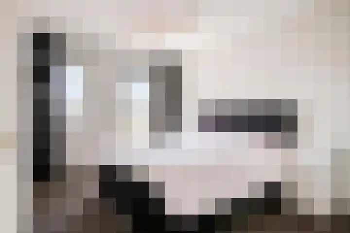 Nijlstraat 46 Spijkenisse thumbnail 27