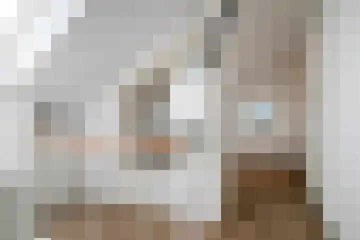 Nijlstraat 46 Spijkenisse thumbnail 32