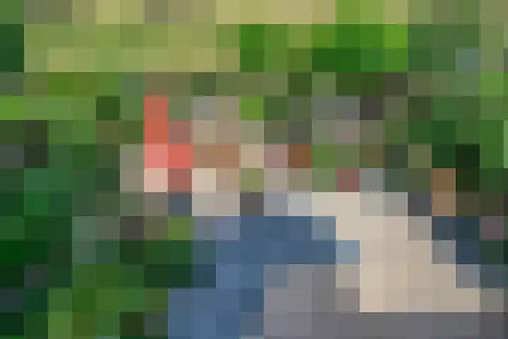 Nijlstraat 46 Spijkenisse thumbnail 36