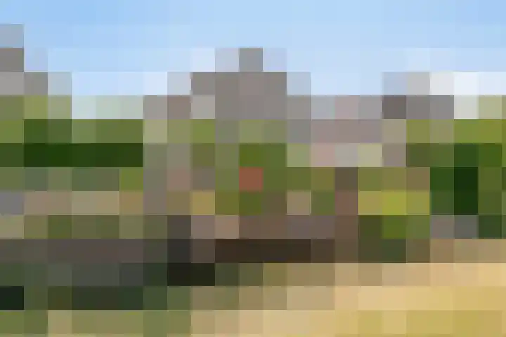 Nijlstraat 46 Spijkenisse thumbnail 37