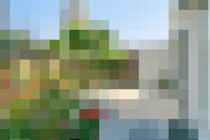 Nijlstraat 46 Spijkenisse thumbnail 4