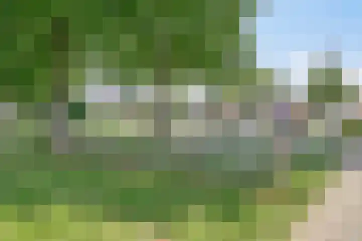 Nijlstraat 46 Spijkenisse thumbnail 41
