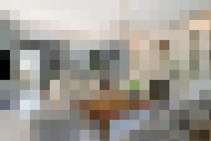 Nijlstraat 46 Spijkenisse thumbnail 8