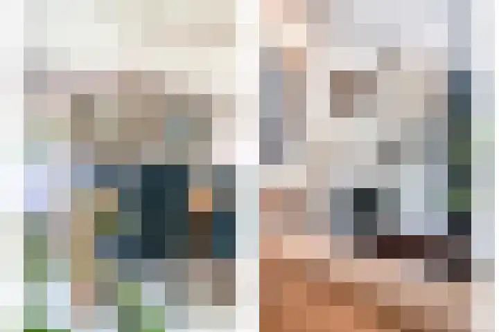 Nijlstraat 46 Spijkenisse thumbnail 9