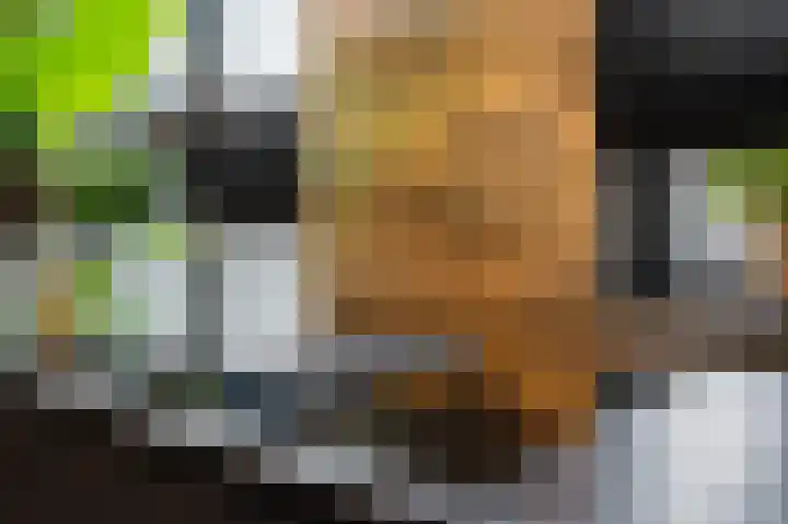 Nijlstraat 5 Spijkenisse thumbnail 11