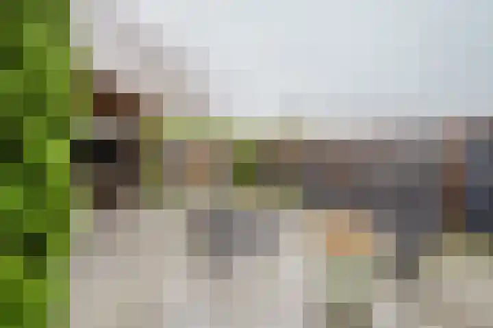 Nijlstraat 5 Spijkenisse thumbnail 16