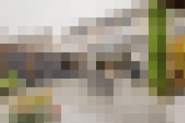 Nijlstraat 5 Spijkenisse thumbnail 17