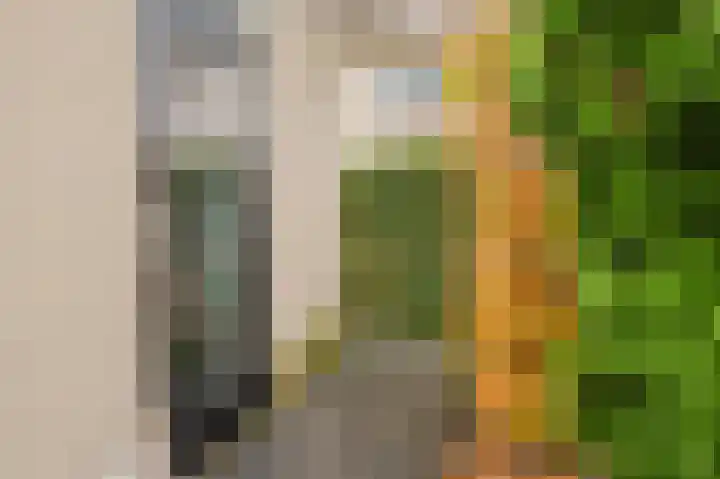 Nijlstraat 5 Spijkenisse thumbnail 18