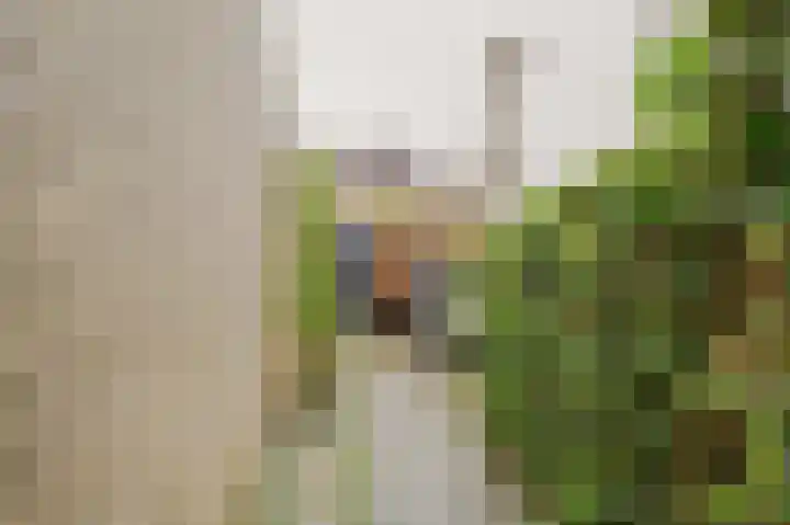 Nijlstraat 5 Spijkenisse thumbnail 19