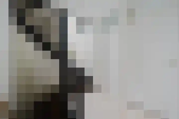 Nijlstraat 5 Spijkenisse thumbnail 21