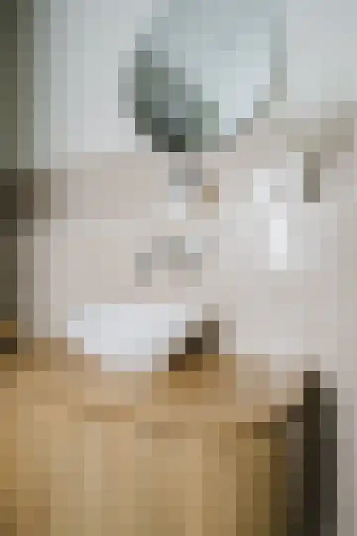 Nijlstraat 5 Spijkenisse thumbnail 24