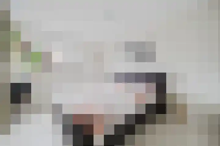 Nijlstraat 5 Spijkenisse thumbnail 25