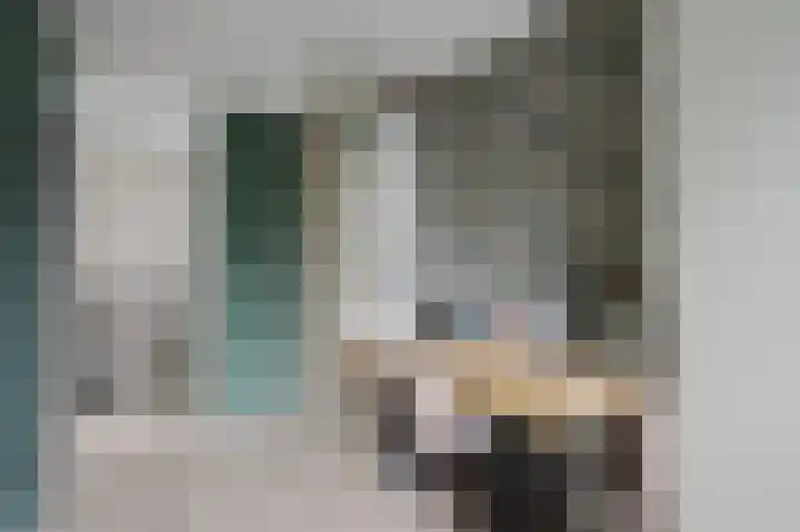 Nijlstraat 5 Spijkenisse thumbnail 28
