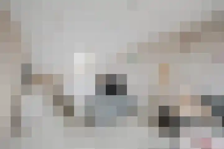 Nijlstraat 5 Spijkenisse thumbnail 31