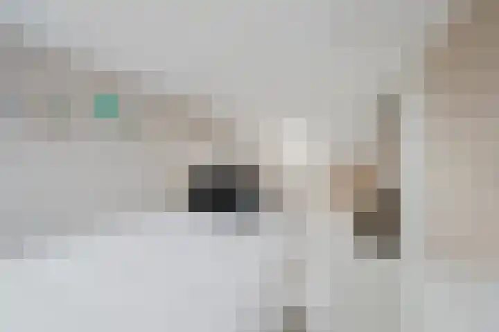 Nijlstraat 5 Spijkenisse thumbnail 32
