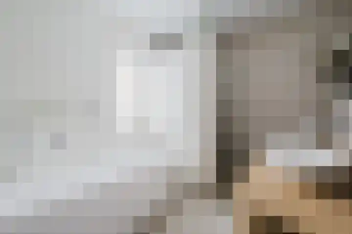 Nijlstraat 5 Spijkenisse thumbnail 4