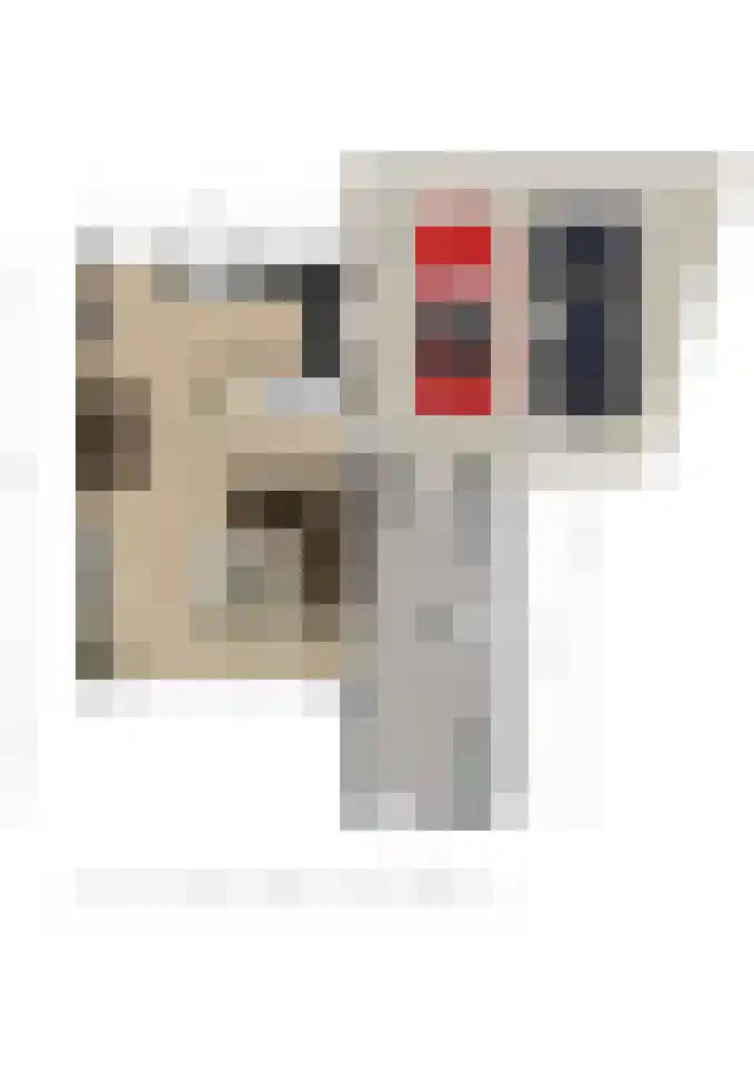 Nijlstraat 5 Spijkenisse thumbnail 8
