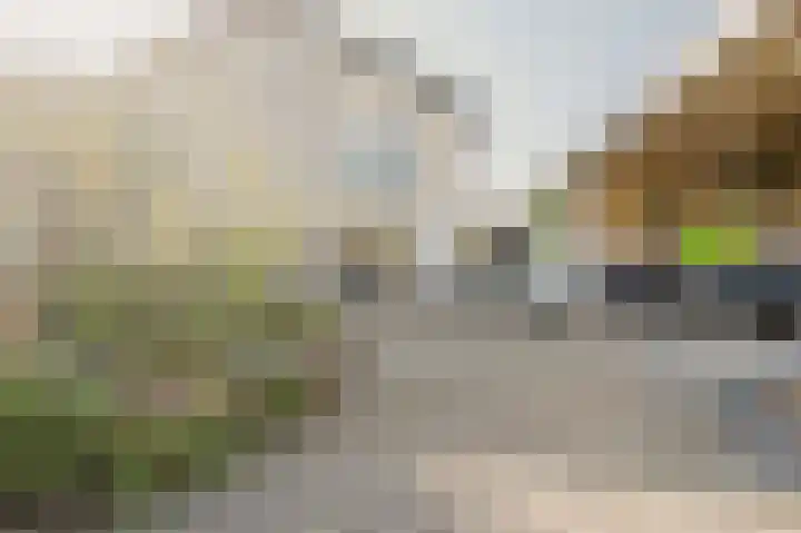 Nijlstraat 56 Spijkenisse thumbnail 21