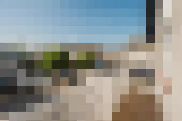 Nijlstraat 56 Spijkenisse thumbnail 26