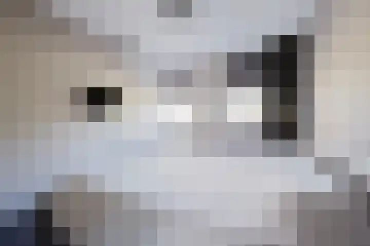 Nijlstraat 56 Spijkenisse thumbnail 31