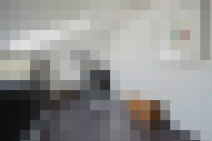 Nijlstraat 56 Spijkenisse thumbnail 35