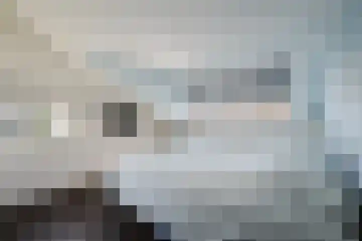 Nijlstraat 56 Spijkenisse thumbnail 36
