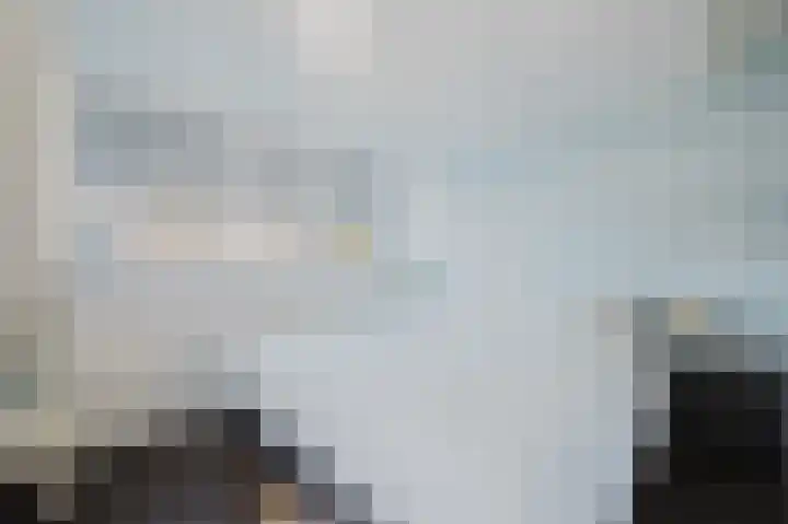 Nijlstraat 56 Spijkenisse thumbnail 37
