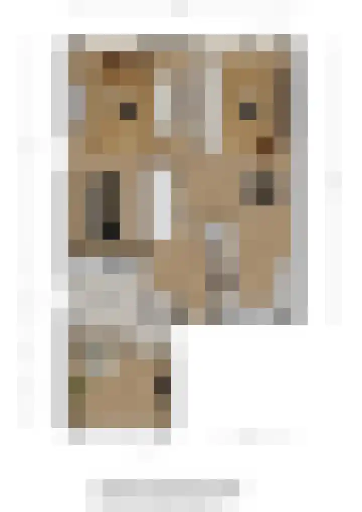 Nijlstraat 56 Spijkenisse thumbnail 7