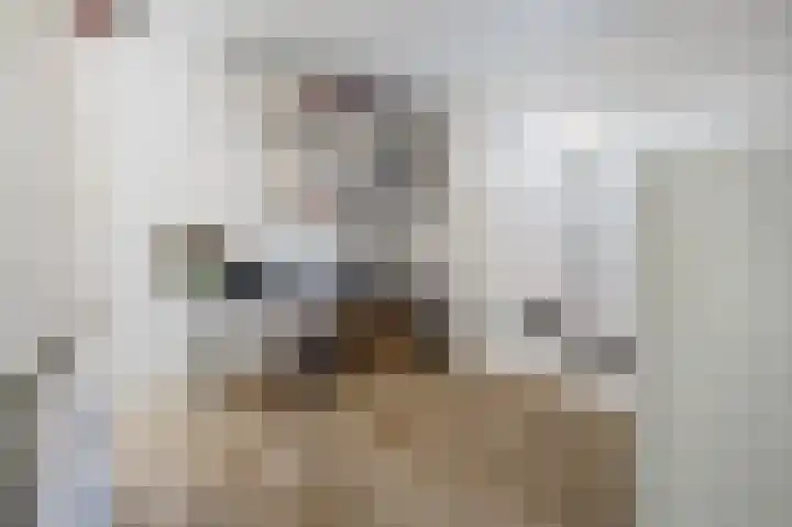 Nijlstraat 56 Spijkenisse thumbnail 9