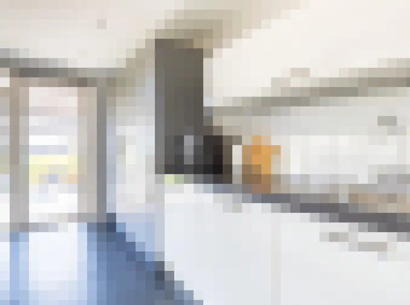 Nijmanhof 18 Rijpwetering thumbnail 17